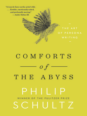 cover image of Comforts of the Abyss